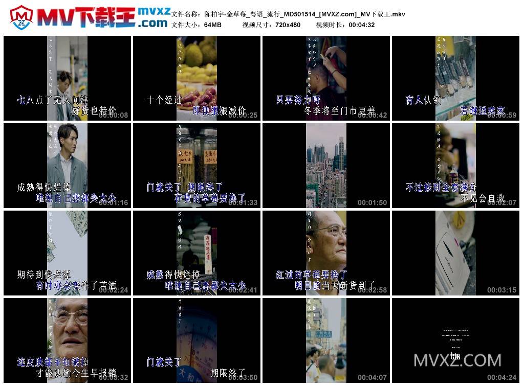 陈柏宇-金草莓_粤语_流行_MD501514